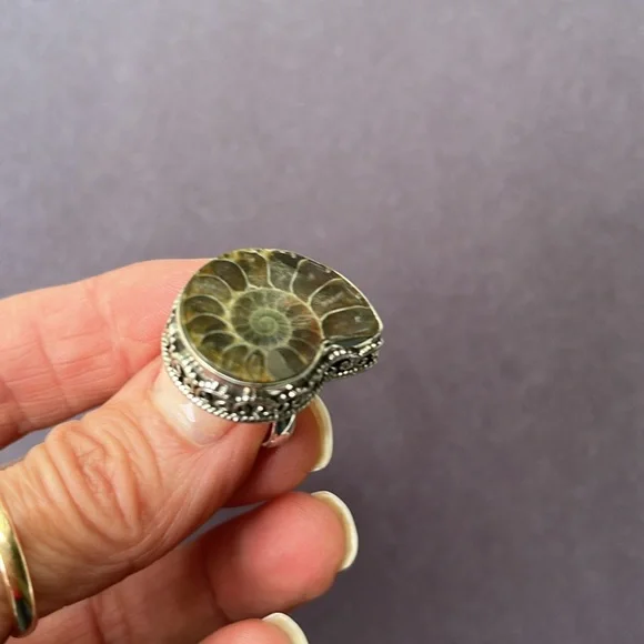 Sterling Silver Fossil Shell Ring - Picture 1 of 8